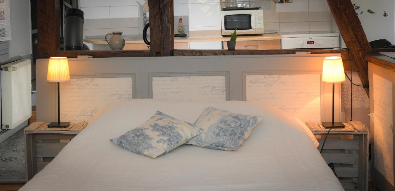 Apartament Le Duplex Colmar Zewnętrze zdjęcie